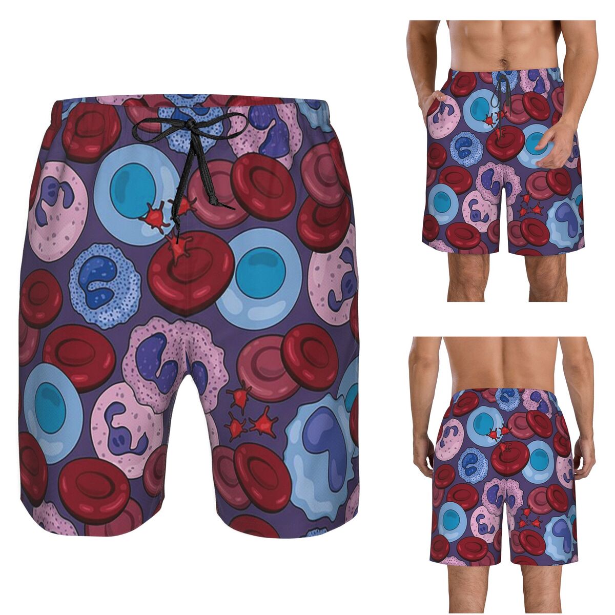 Hematology Blood Cells Medical - огляд і ціна Medical Lab Board